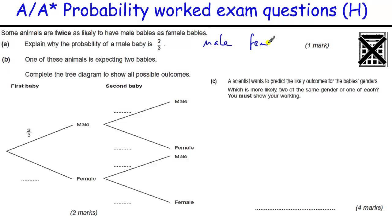 statistics-and-probability-questions-24-7-college-homework-help